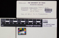 Image Associated With the Occurence